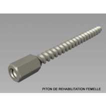 piton de réhabilitation femelle - MPI PROFILS