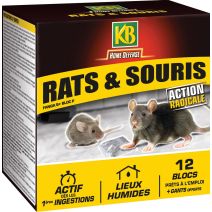 rats et souris bloc 240g