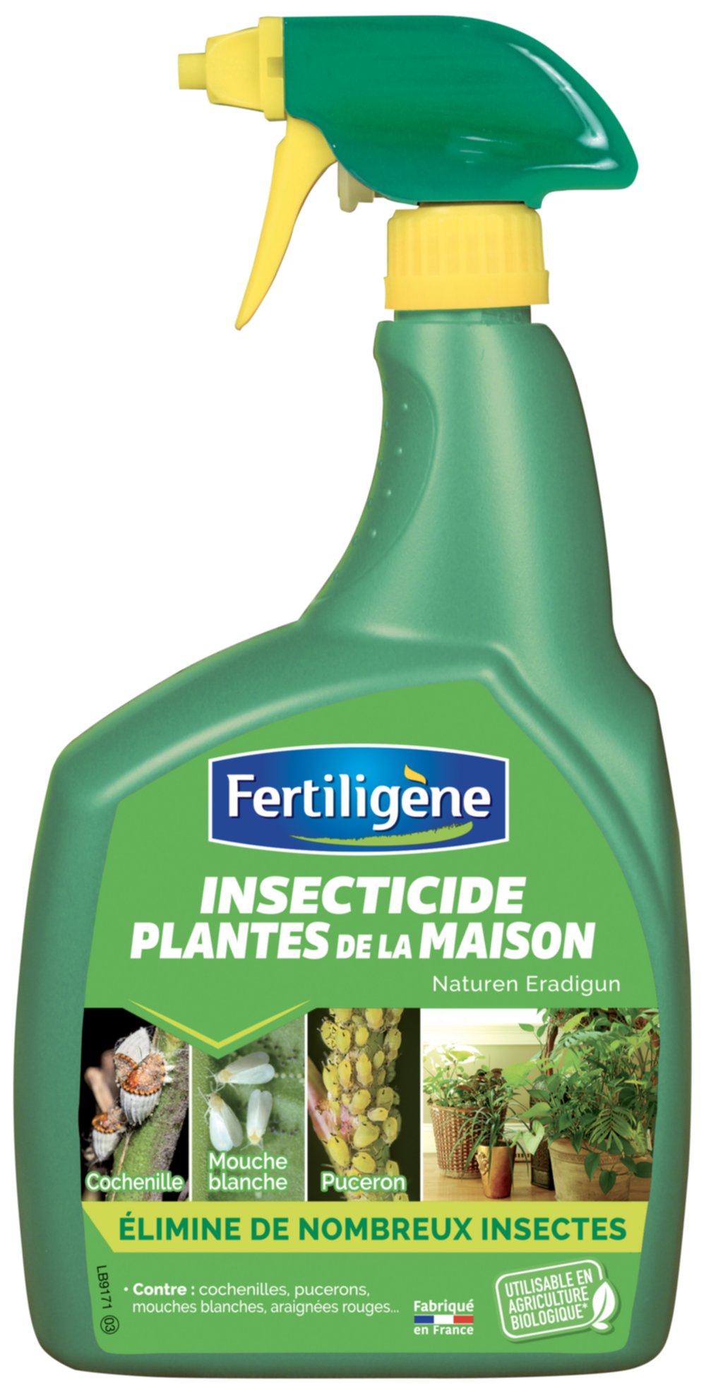 Insecticide pour plantes de la maison