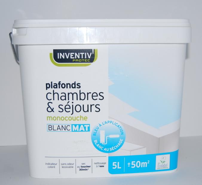 Peinture Plafonds chambres et séjours mat 5L - Blanc - INVENTIV