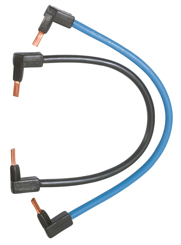Lot de 2 cordons de repiquage 270 mm 10 mm² P+N - LEGRAND