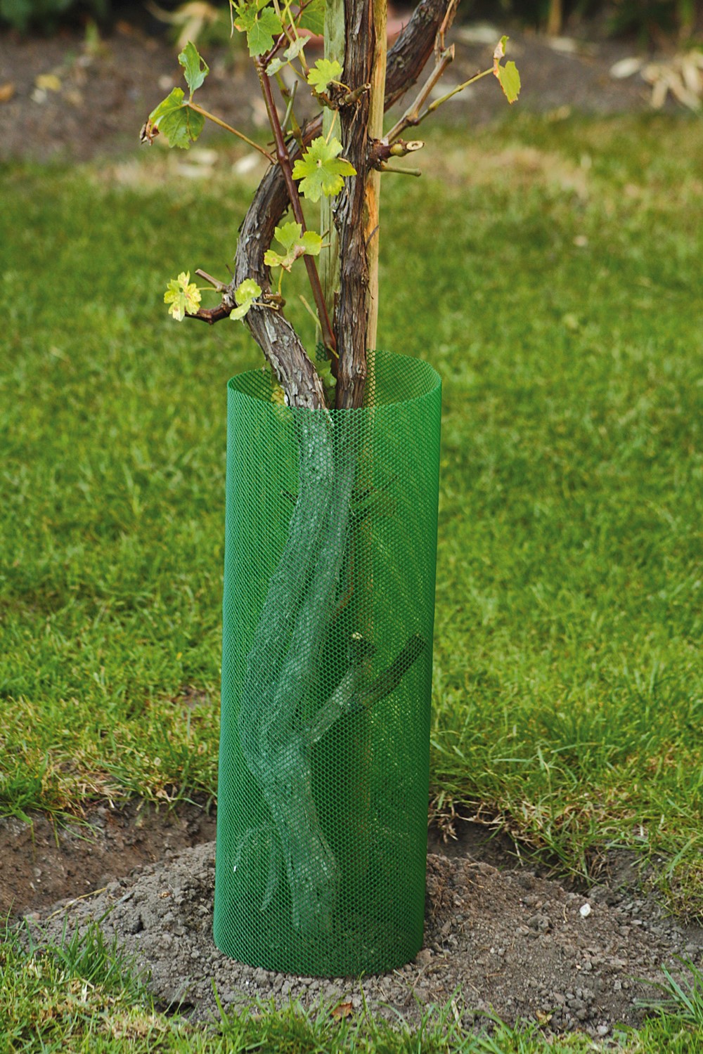 Brise Vent Protection Plant Mini-Mailles Polyéthylène 1x5m Vert - IDEAL GARDEN