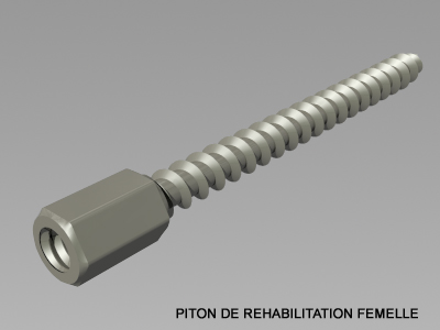 piton de réhabilitation femelle - MPI PROFILS