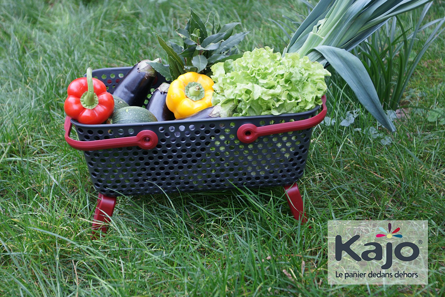 Panier Kajo 15L Gris / Cerise - POUSS VERT