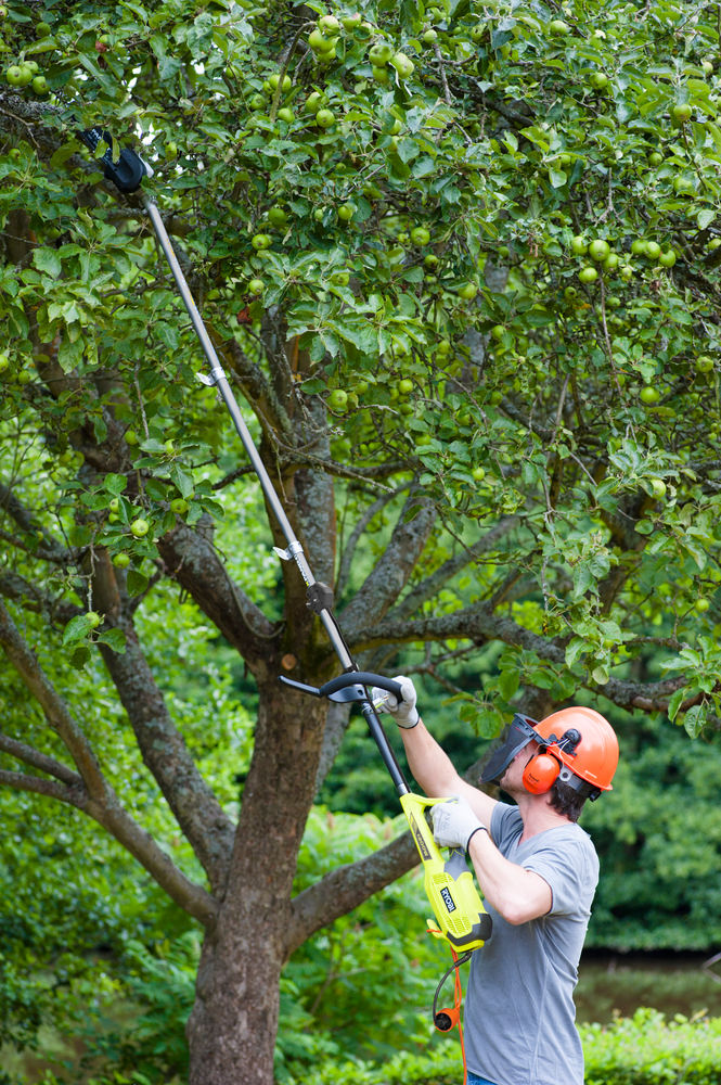 RYOBI - Tube d’extension 62cm EXPAND-IT