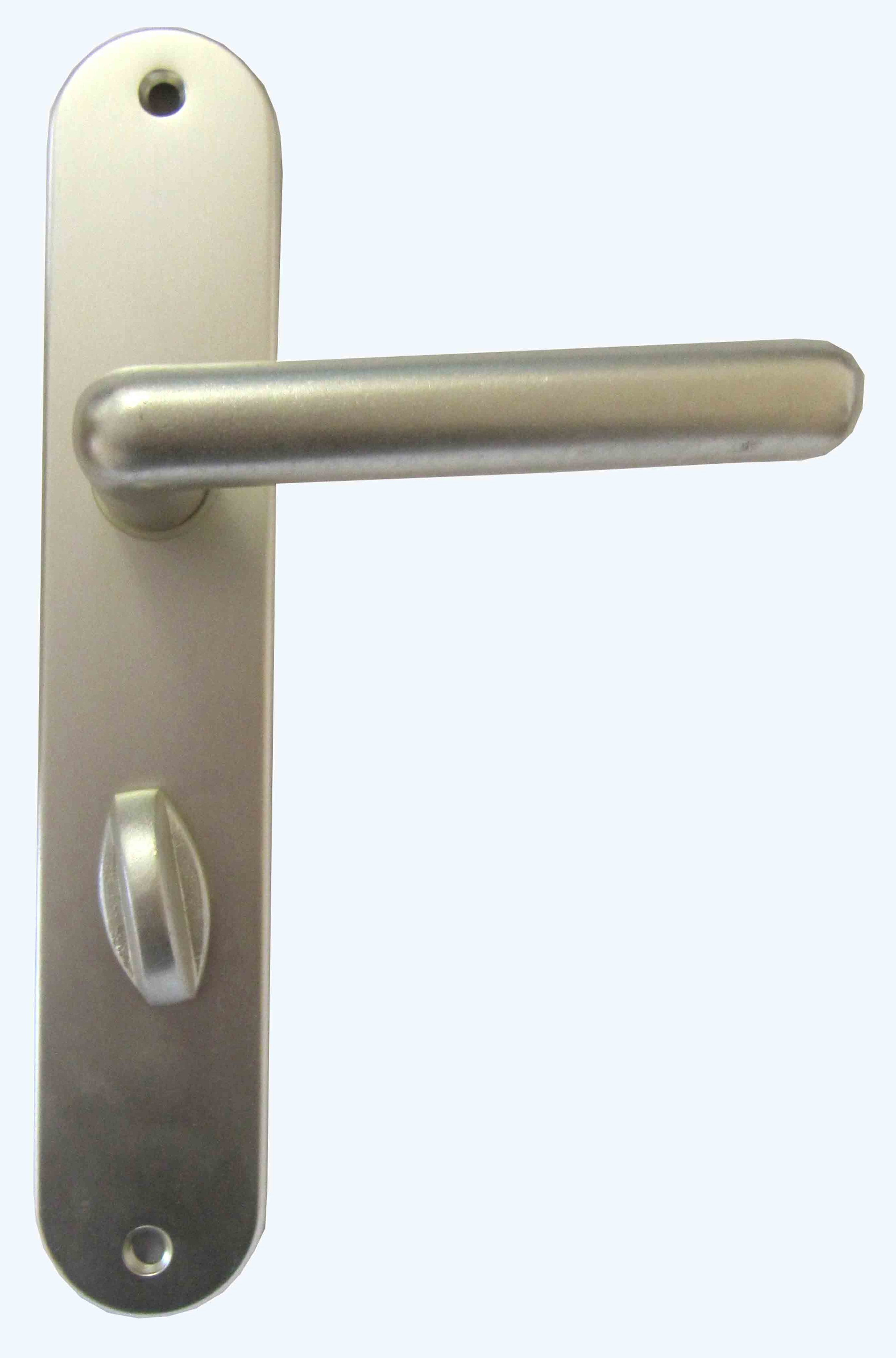 Poignée de porte à verrou Thonon alu champagne entraxe 195mm - 1ER