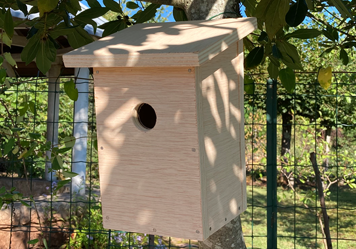 colle à papier