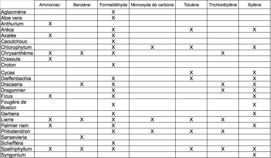 tableau plantes depolluantes